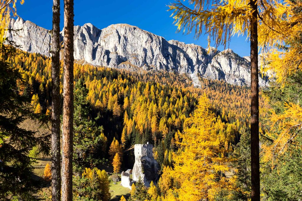 Castello Di Andraz (1)