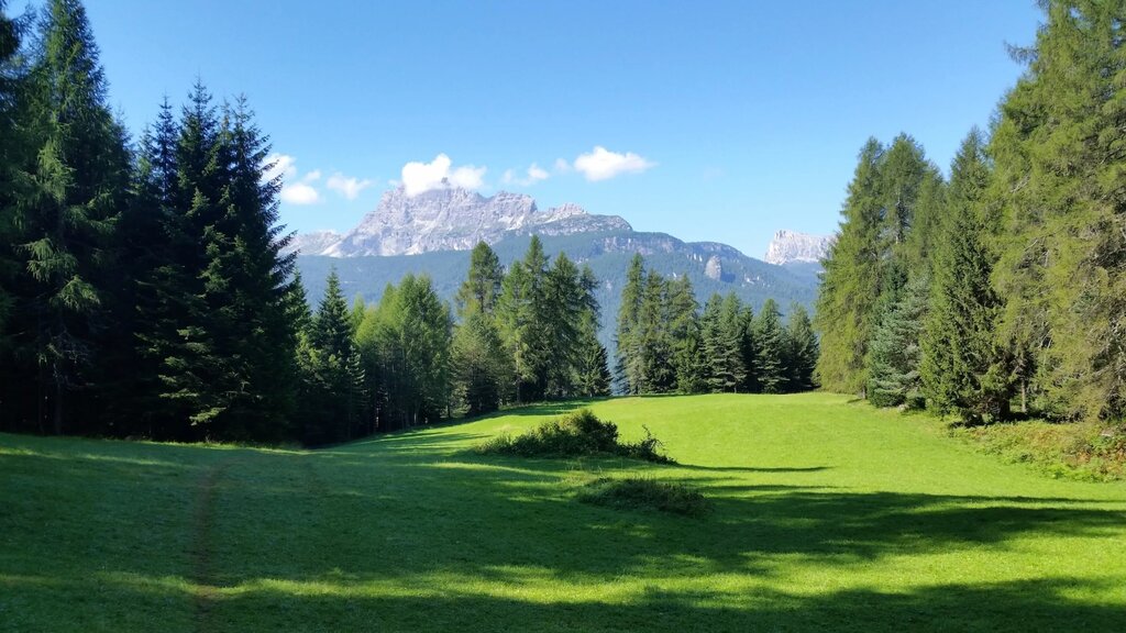 Mietres Fraina MTBCortina Marketing AV, Cortina Marketing  | © Cortina Marketing