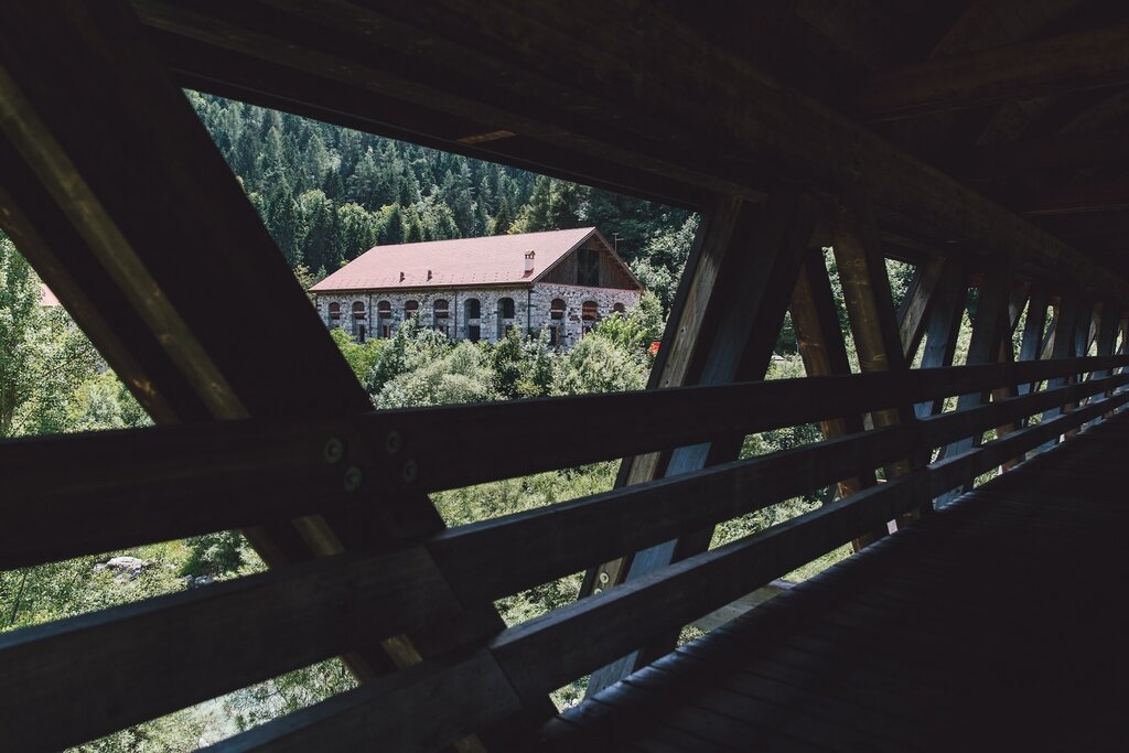 De Pellegrin Roberto AltaViaBL Bassa 135