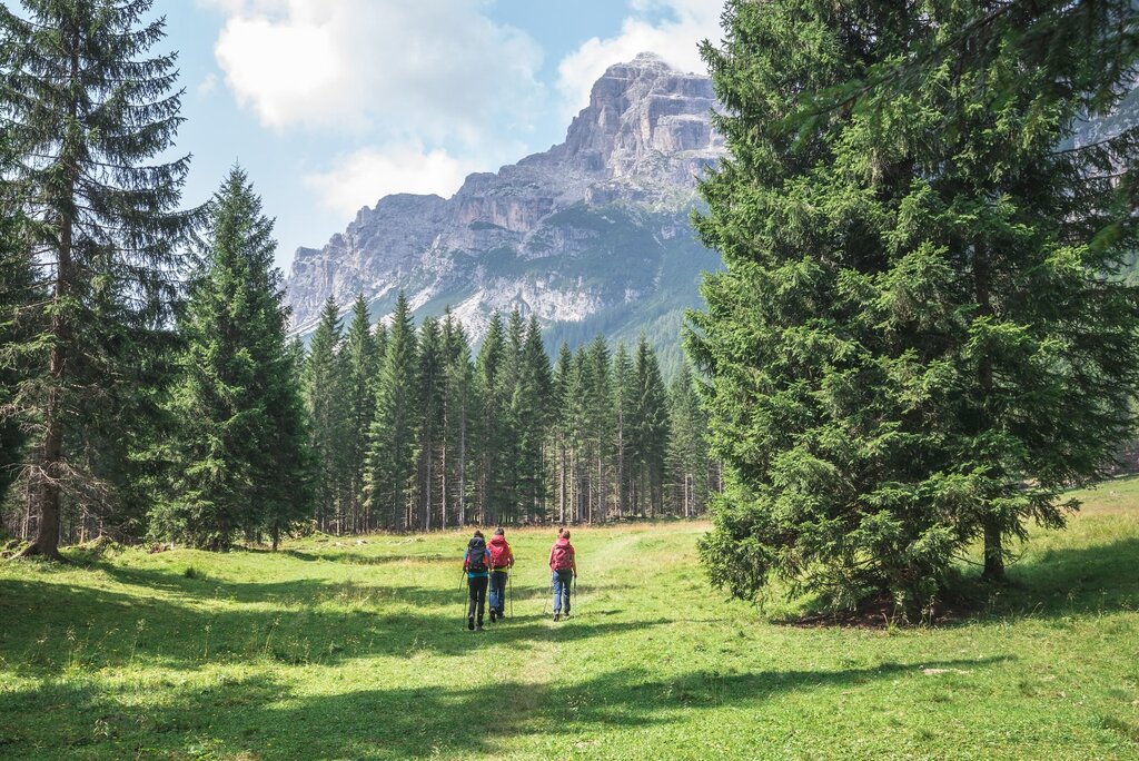 Kleinschmidt Lorenzo  LKL6921