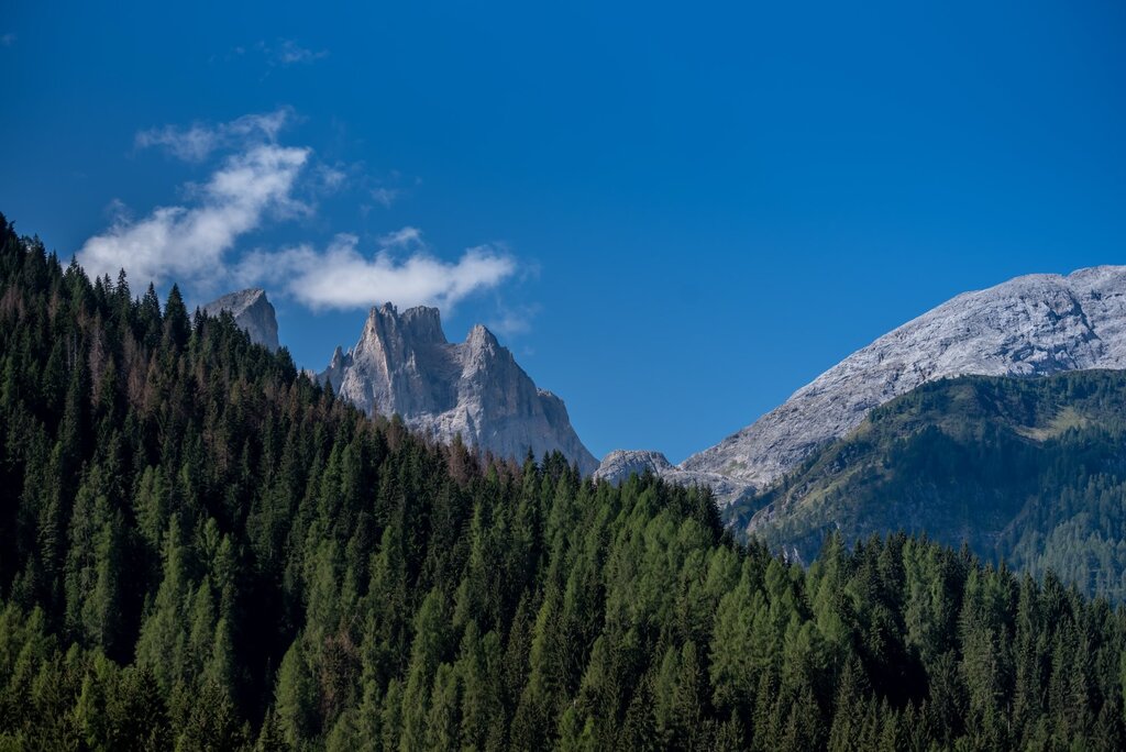 Falcade Piana Trekking Estate Ghizzo 5741