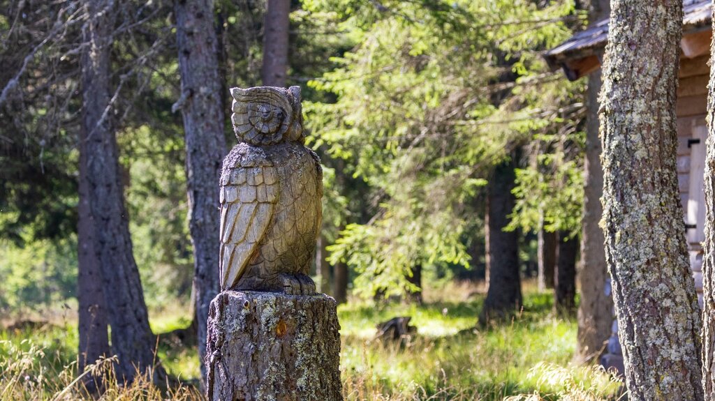 Torbiera Di Danta 3 | © Archivio Dmo Dolomiti Bellunesi