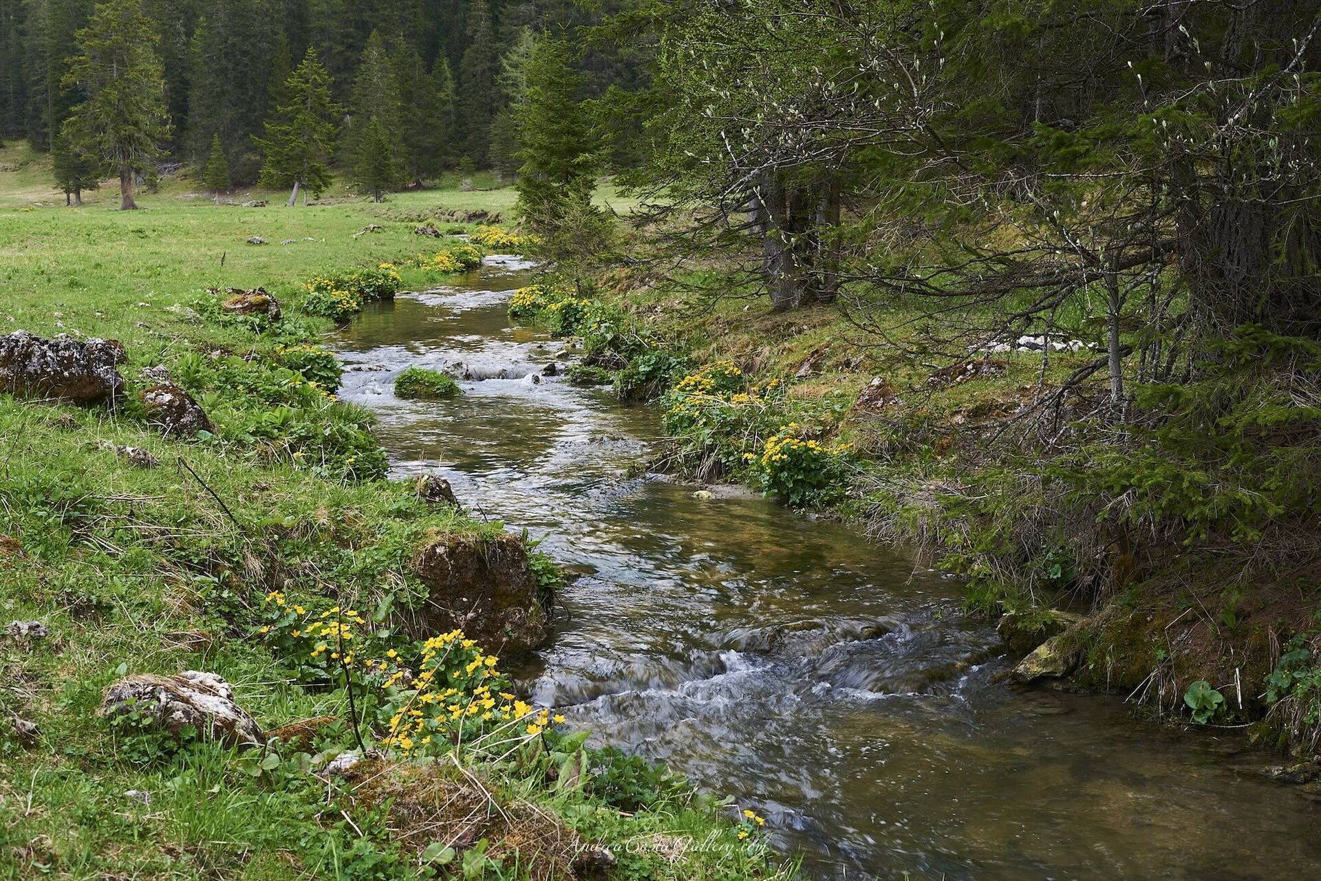 Ruscello Bacini Di Pesca