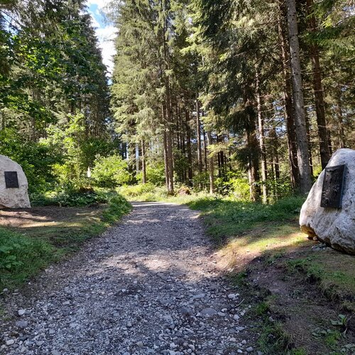 Via Crucis Papa Luciani