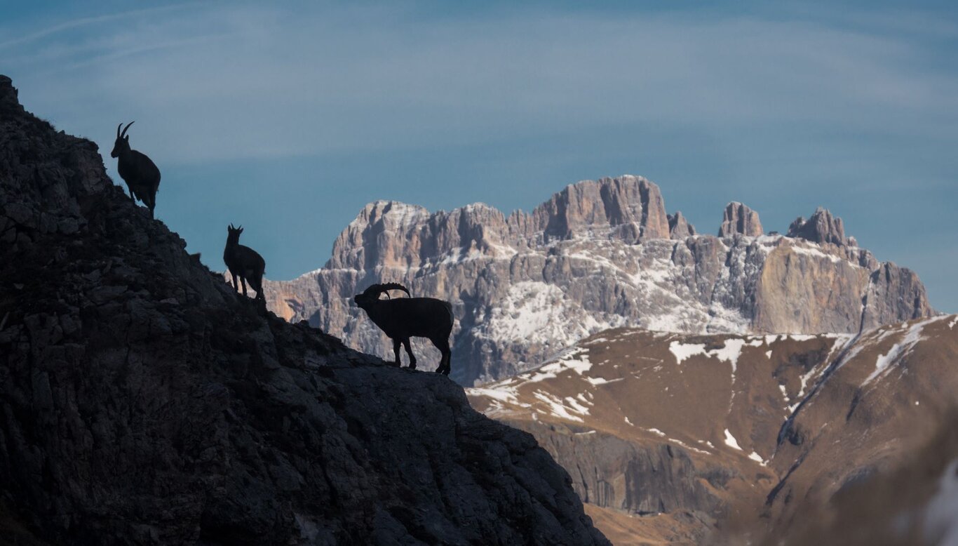 LE REGOLE D’ORO PER UN’ESCURSIONE IN MONTAGNA