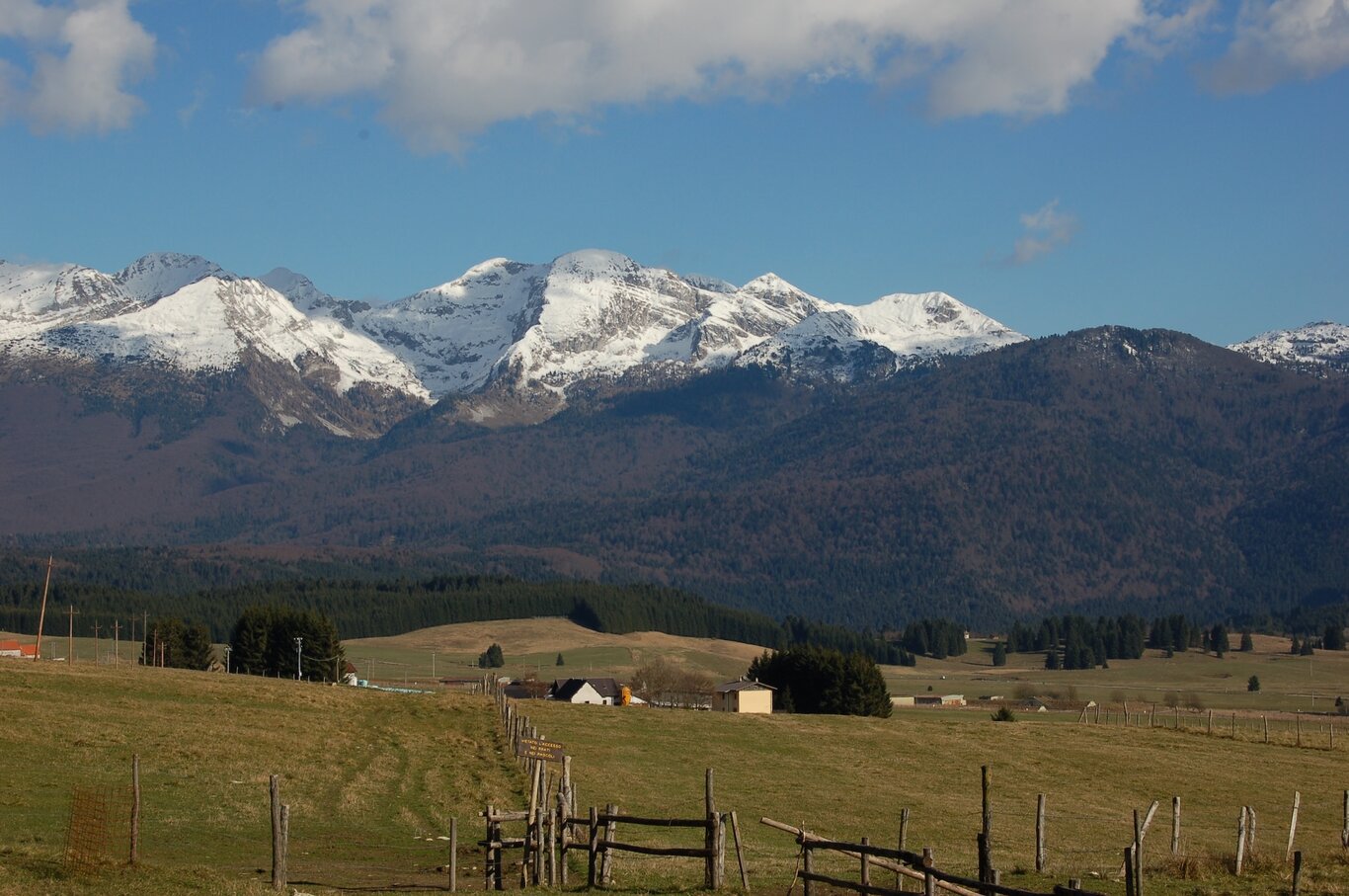 Anello del Cansiglio | © P.Cibien