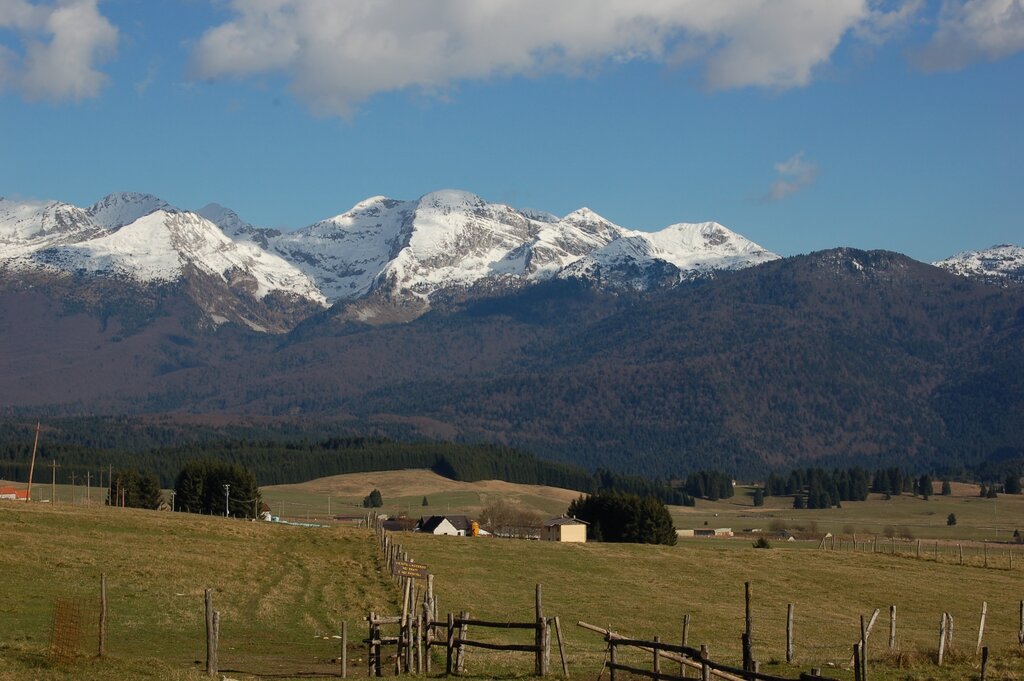 Autunno Pian Cansiglio P.Cibien | © P.Cibien