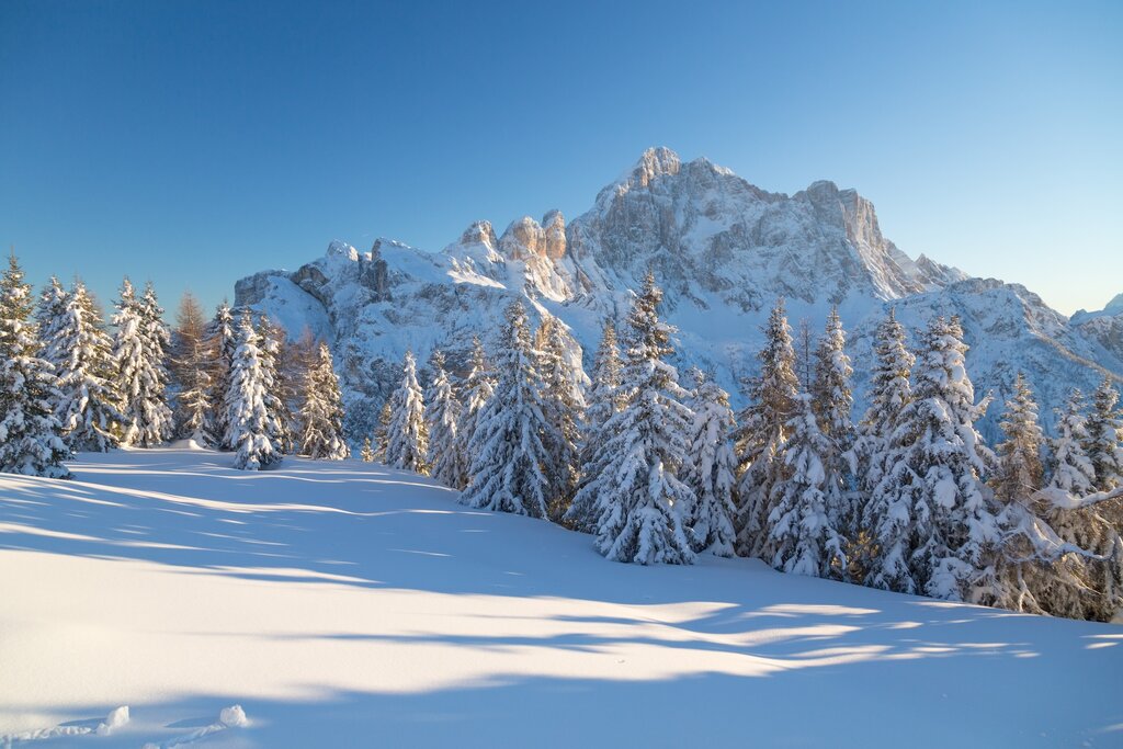 Civetta Da Fertazza   Inverno | &copy; Archivio Dmo Dolomiti Bellunesi