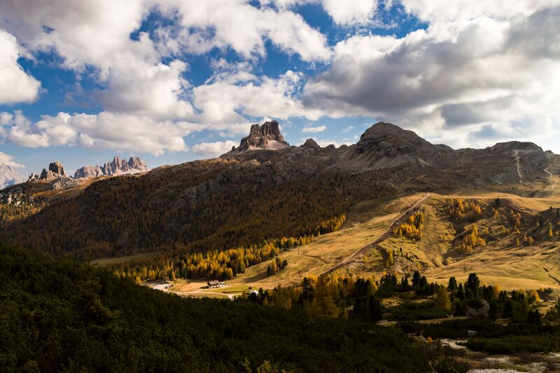 Chiamenti Elisa1 (1)