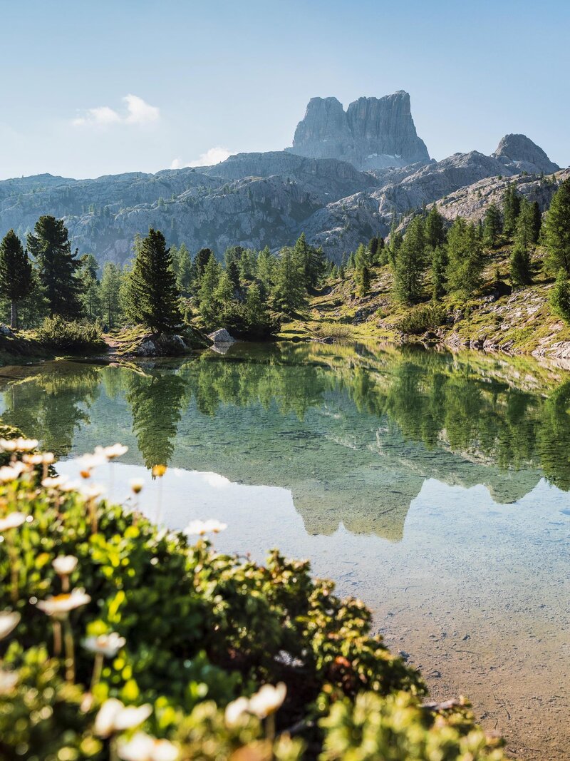 Cortina Lago Limedes Www.bandion.it