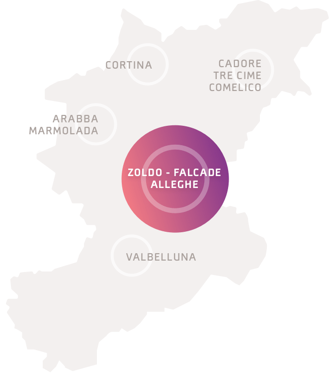 LBL_R_ZOLDO_FALCADE_ALLEGHE