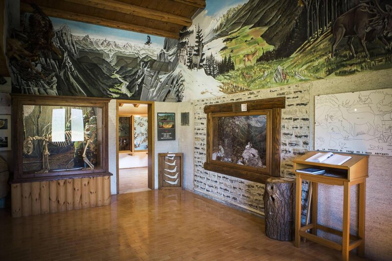 Museo Naturalistico Interno